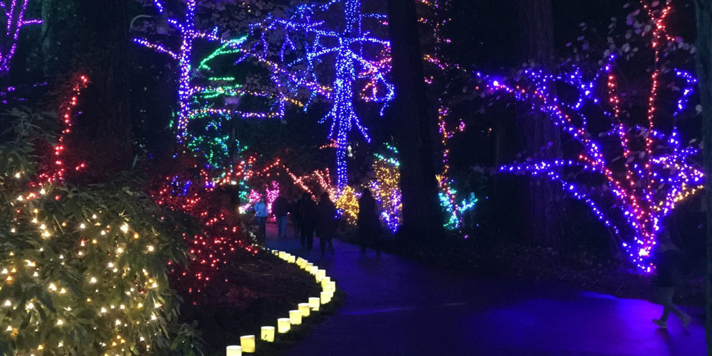 The Grotto's Festival of Lights is an alcohol free event that's perfect for a sober holiday in Portland