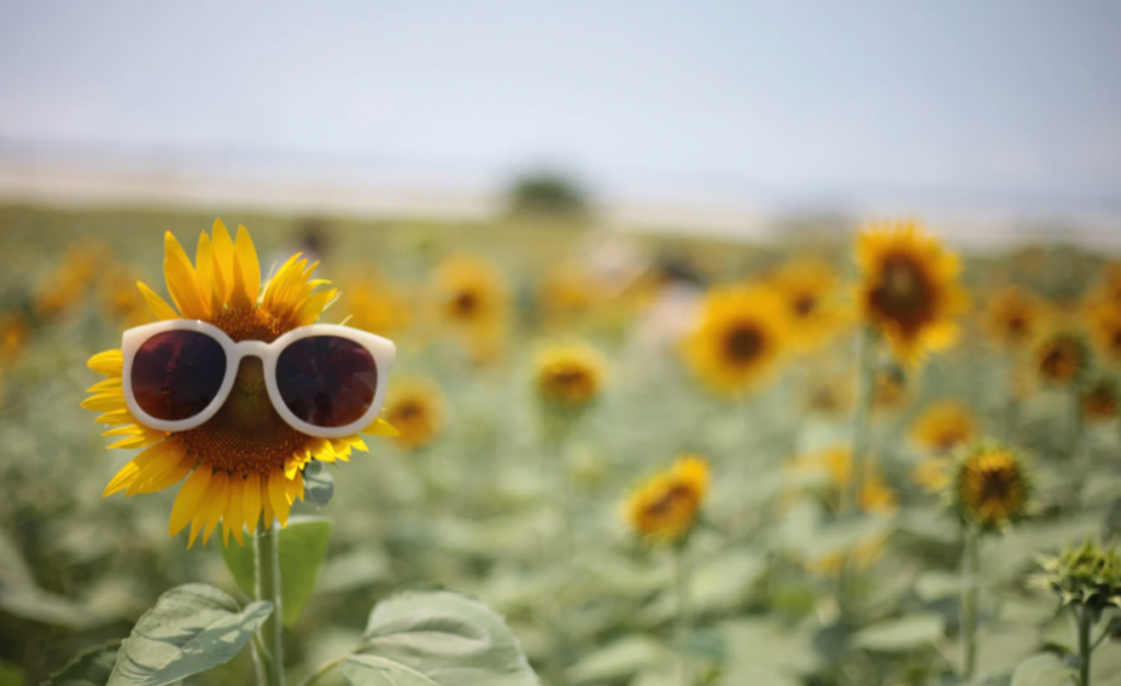 sober summer fun portland oregon 2023 addiction treatment recovery